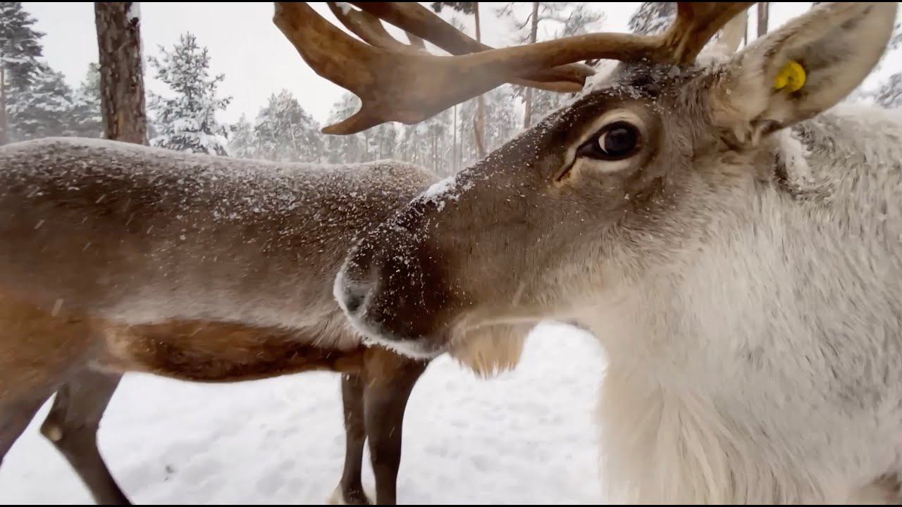 Backstage ХМАО 2021