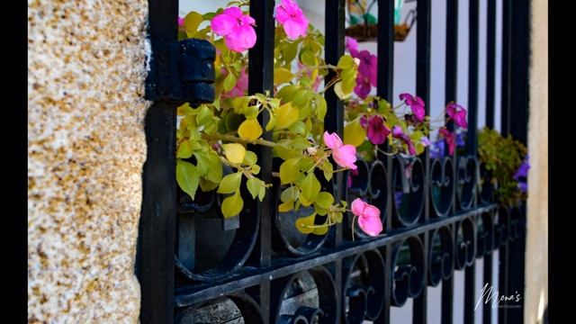 Castilla La Mancha In Images смотреть онлайн