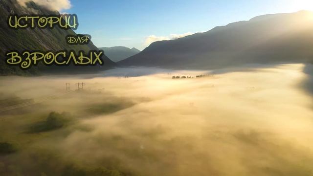 Ой, милый, не туда.. ИСТОРИИ из жизни ДЛЯ ВЗРОСЛЫХ смотреть онлайн