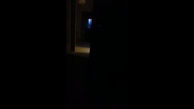 Прямая трансляция пользователя Вадим Петров смотреть онлайн