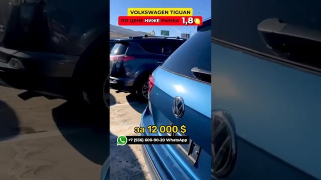 Volkswagen Tiguan по уене ниже рынка 1.8? #americangarageshop #автоизгрузии смотреть онлайн