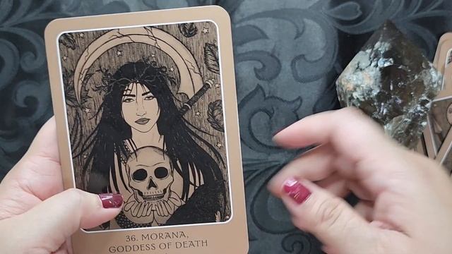 Wild Woman Oracle - Full Flip Through смотреть онлайн