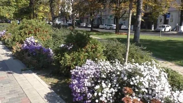 15.10.18г Краснодар. Прогулка по улице Красной. смотреть онлайн
