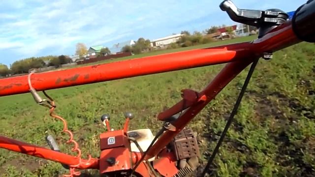 2 часть. Вывожу навоз с мотоблоком на свой участок земли. #мотоблок#мотоблокагро смотреть онлайн