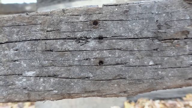 Railroad Ties, Bulletproof Shooting Range Backstop?! смотреть онлайн