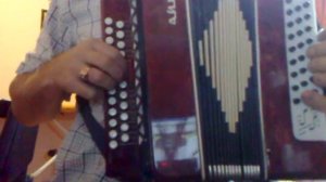 Шуйская гармонь "Чайка 2"