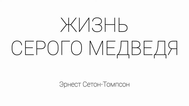 Жизнь серого медведя смотреть онлайн