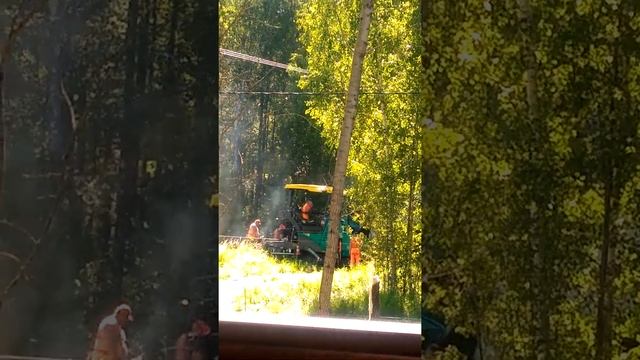 Дорога к участку многодетной семьи прошла стороной смотреть онлайн