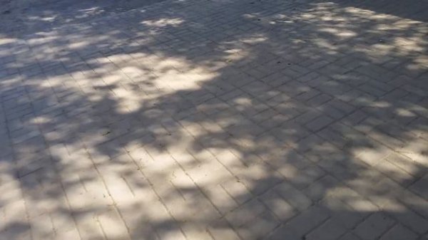 Какое масло лучше ZIC или Масло Kixx.