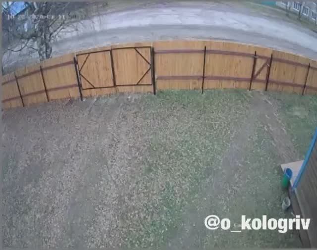 Гостевой дом Кологрив. Один год за одну минуту. смотреть онлайн