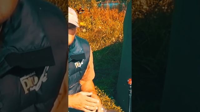 Рыбалка Секреты ловли крупной трофейной рыбы Летняя рыбалка Ловля карпа #shorts смотреть онлайн