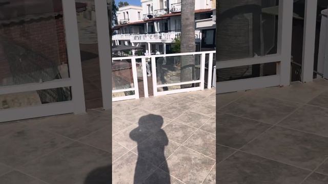 #путешествия #юмористы #шоубизнес #актриса #балет смотреть онлайн