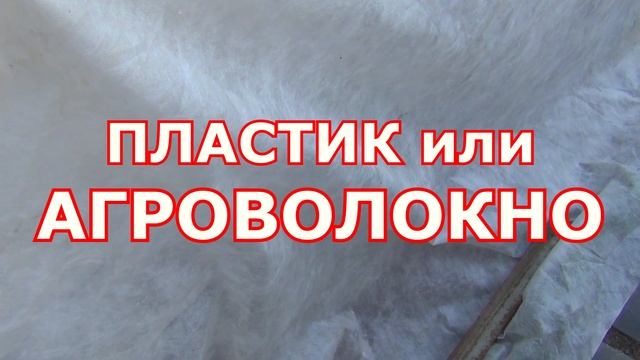 Когда ЛУЧШЕ ВЫСАЖИВАТЬ САЖЕНЦЫ винограда в Средней полосе смотреть онлайн