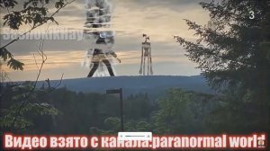 100 Сиреноголовых снятых на камеру. Автор: Sashokik Hay