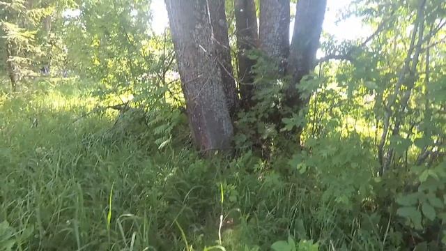 Деревни которых еще нет на ПГМ и которых уже нет на генштабе. смотреть онлайн