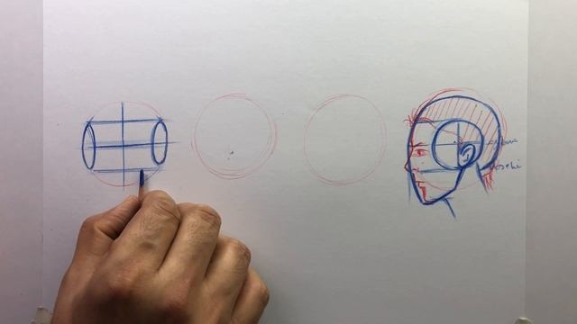 Draw Heads Using Andrew Loomis Method for Beginners  How to draw Heads quickly