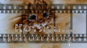 Котята   *   Прикольная мелюзга