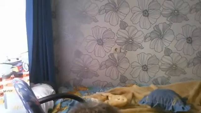 Видео C веб-камеры от 20 июня 2015 г., 11:07 (UTC)