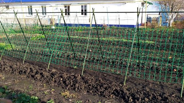 Выращивание высокорослых помидор, Опора для томатов, Как под смотреть онлайн