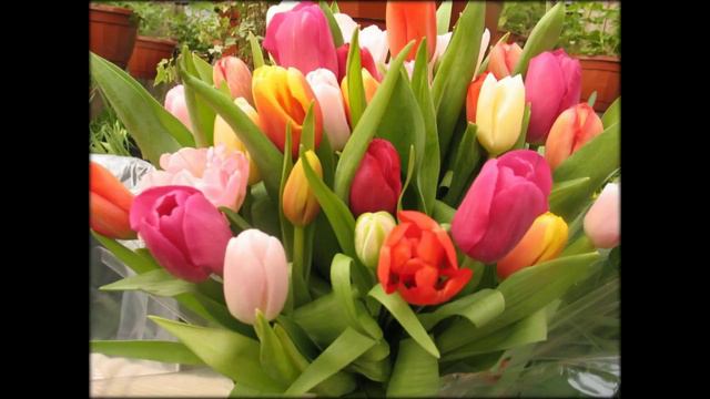 ĊÖЂԉÄӟℍ: Ċ€ĶĊŸÄԉЬℍӹ€ д€BŸŴĶú пÄℙℍú смотреть онлайн