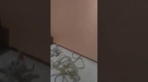 От воров  защита ?⚡⚡⚡?(СИЛЬНЫЙ заговор)