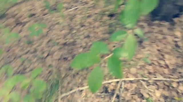 ШАЛАШ из веток и скотча своими руками смотреть онлайн