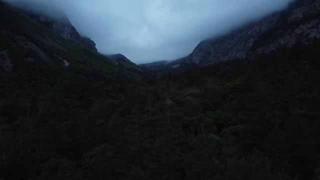 Волшебный лес. Северная Осетия. Верхний Цей. смотреть онлайн