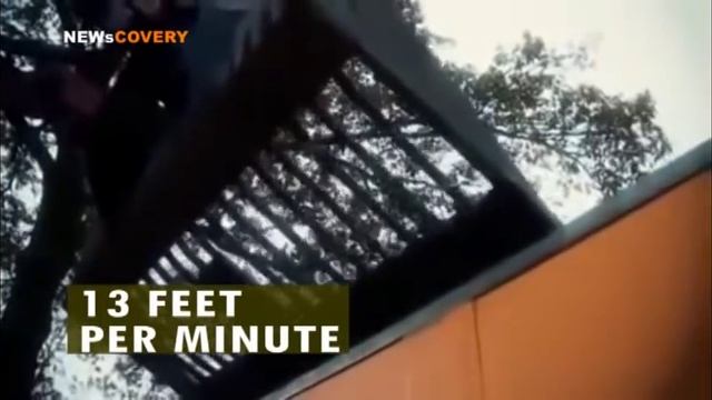 NEWSCOVERY: ROAD PRINTER смотреть онлайн