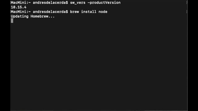 Install NodeJS on MacOS Catalina смотреть онлайн