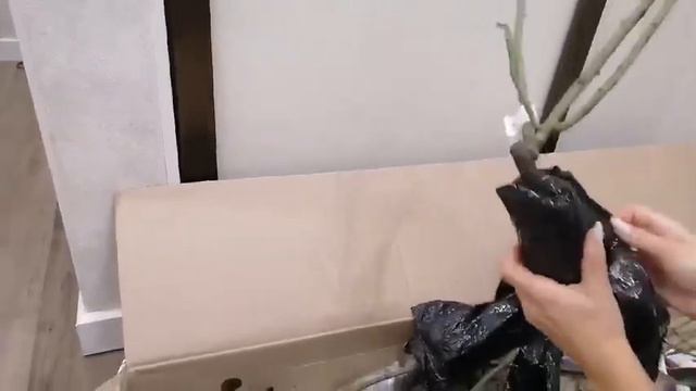 Отзыв о магазине Беккер