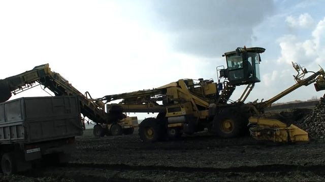 Погрузка свеклы в одном из сельхозпредприятий Бековского района. смотреть онлайн