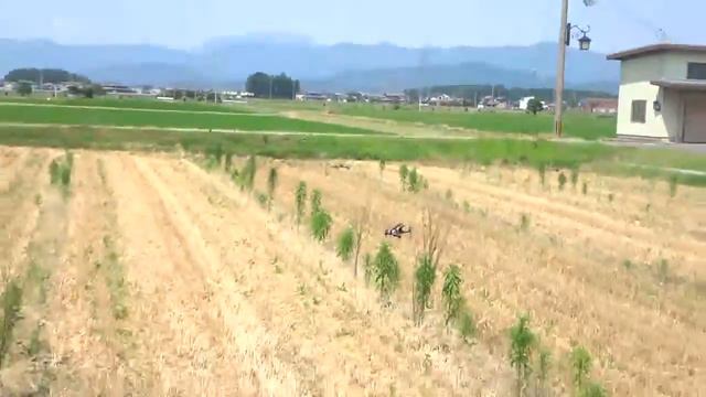 WALKERA RODEO 150 ノーマルモードでの飛行 смотреть онлайн