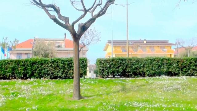 Влог * Болталка* В Тумане Моря * Цветущая Магнолия смотреть онлайн