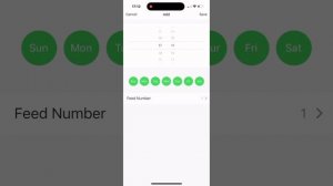 Установка и настройка автокормушки в приложении Smart Life