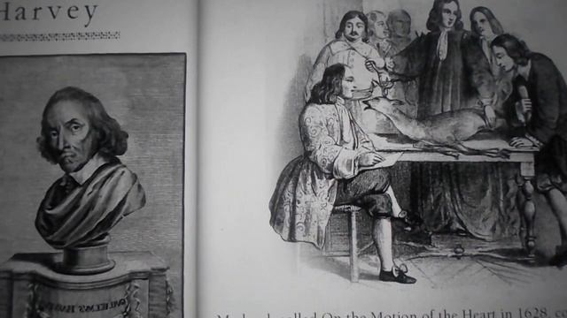 Лондон сентябрьский (2023). Уильям Гарвей и его работа. London 2023. William Harvey and his work смотреть онлайн