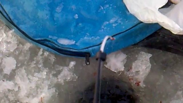 чудское озеро 2009 {NUMBERX}