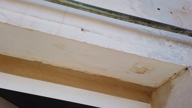 Рост цен на недвижимость в Сагунто (Валенсия). смотреть онлайн