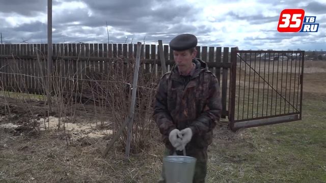 «Дача с любовью» весенняя подкормка смотреть онлайн