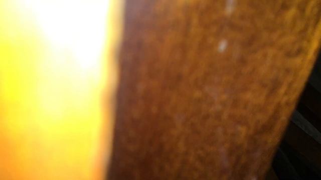 КОШКА МУСЯ ЛОВИТ МЫШЕЙ! ВОТ ЭТО ОХОТА! смотреть онлайн