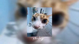 тати малышка, соу ями speed up