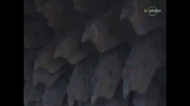 Супер машины. Асфальтоукладчик WIRTGEN WR2500 смотреть онлайн