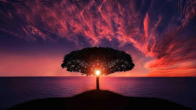 Meditation Music Relax Mind Body