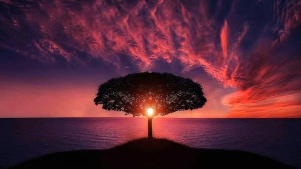 meditation music relax mind body