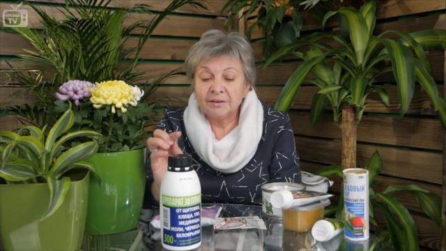 Вредители и болезни сада ? Борьба с вредителями ✓  Hitsadtv