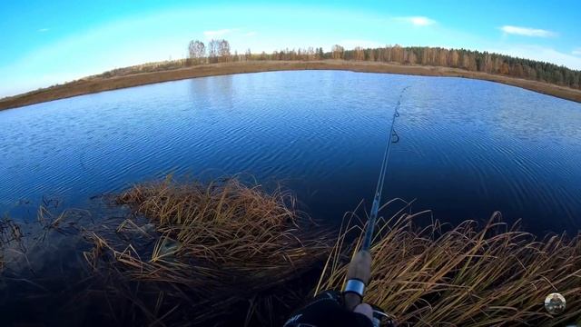 4к видео. рыбалка на спиннинг смотреть онлайн