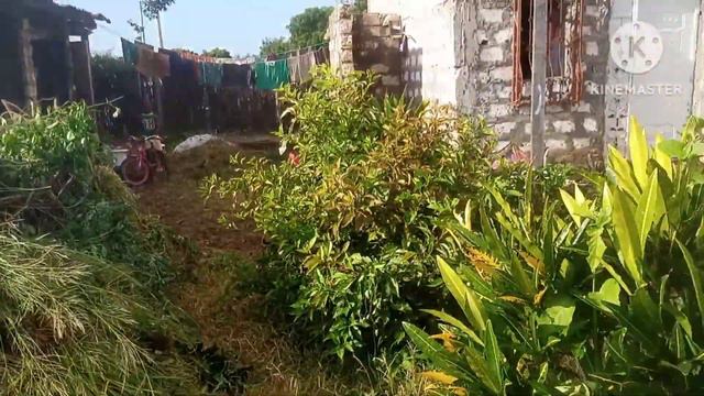 Our Агрессивный Mzungu папа#Mtwapa #Kenya Алкаш напал на людей в кафе. смотреть онлайн