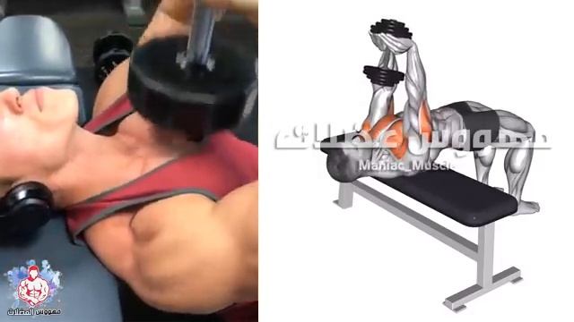 أقوى 7 تمارين الصدرً كمال الاجسام (تضخيمه وتعريضه) - Chest Day Workout