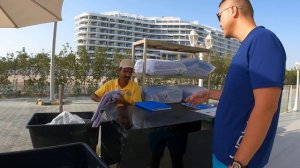 Обзор отеля Royal Central Hotel at the Palm/ НАШ НОМЕР/ ЗАСЕЛЕНИЕ/ПЛЯЖ/Palm Jumeirah Beach