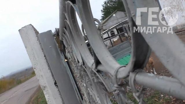 Питомник г Октябрьский смотреть онлайн