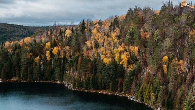 История одного просветления | Как мне снесло крышу [Опыт просветления от первого лица] смотреть онлайн